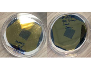 Orbital Angular Momentum Multiplexing Metasurface